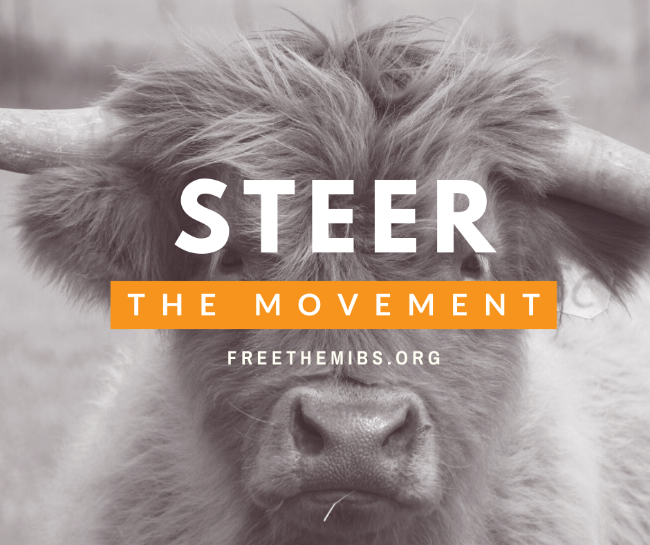 FREEtheMIBS - Steer the Movement.png